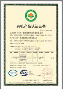 bu集團(tuán)創(chuàng)始股東石為 致力現(xiàn)代農(nóng)業(yè),構(gòu)建工廠(chǎng)化生產(chǎn),顛覆牛肝菌市場(chǎng)格局